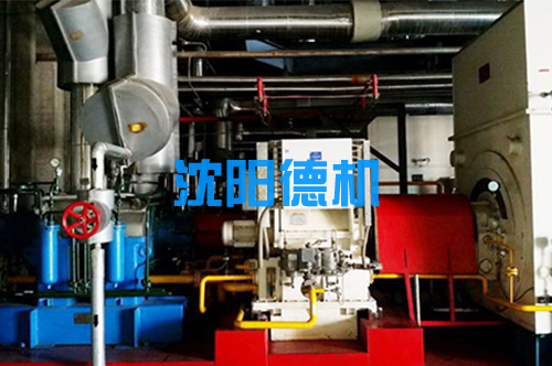 吉林琿春發(fā)電廠