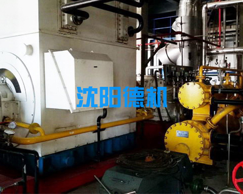 吉林琿春發(fā)電廠